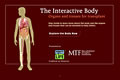 The Interactive Body