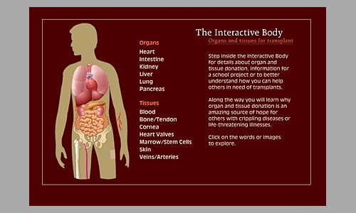 The Interactive Body